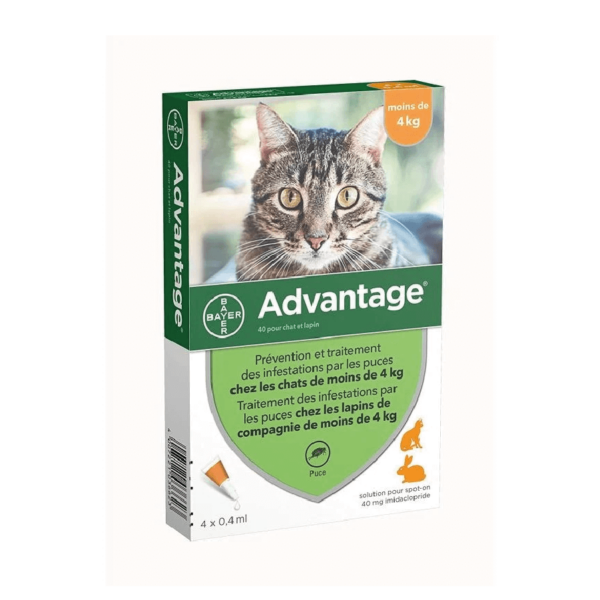 Advantage Pipeta Gato 4Kg