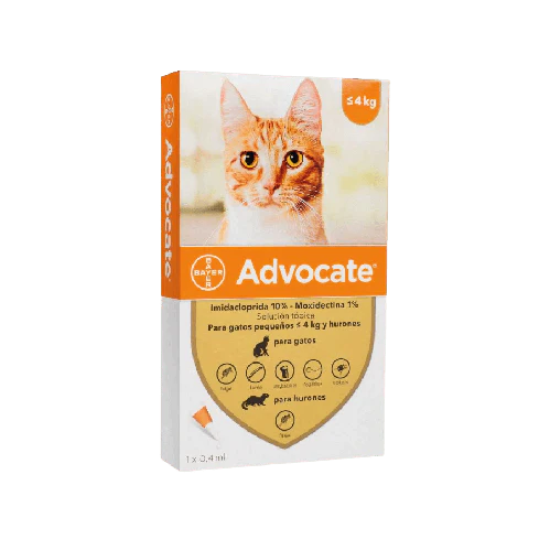 Advocate Pipeta Gato 4Kg