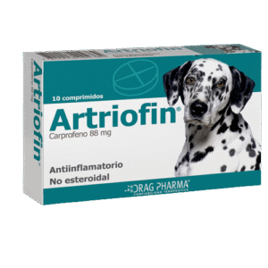Artriofin 88Mg 10Comp