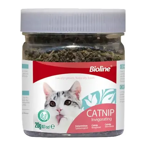 Catnip Yerba Gatera 20Gr