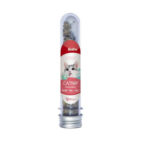 Catnip Yerba Gatera Tubo 5Gr