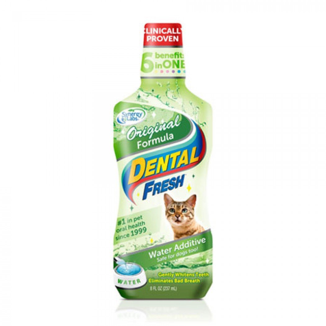 Dental Fresh Gato 237Ml